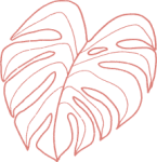 monstera_lines_0007_Layer-2.png monstera_lines_0007_Layer-2.png